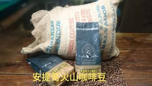 懂故事咖啡 安提哥火山咖啡豆